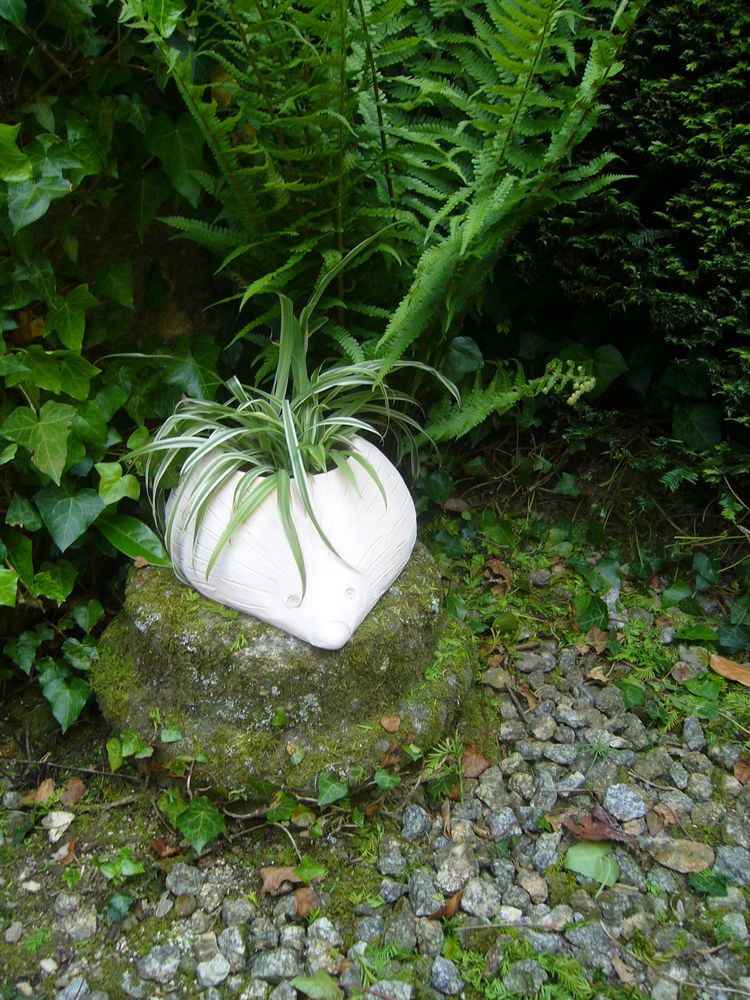 Exposition au jardin de Tugny à l'occasion des Journées des Parcs et Jardins en Bretagne - Photo 4